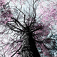 Illustration for article titled 116 Incredible Wallpapers By You